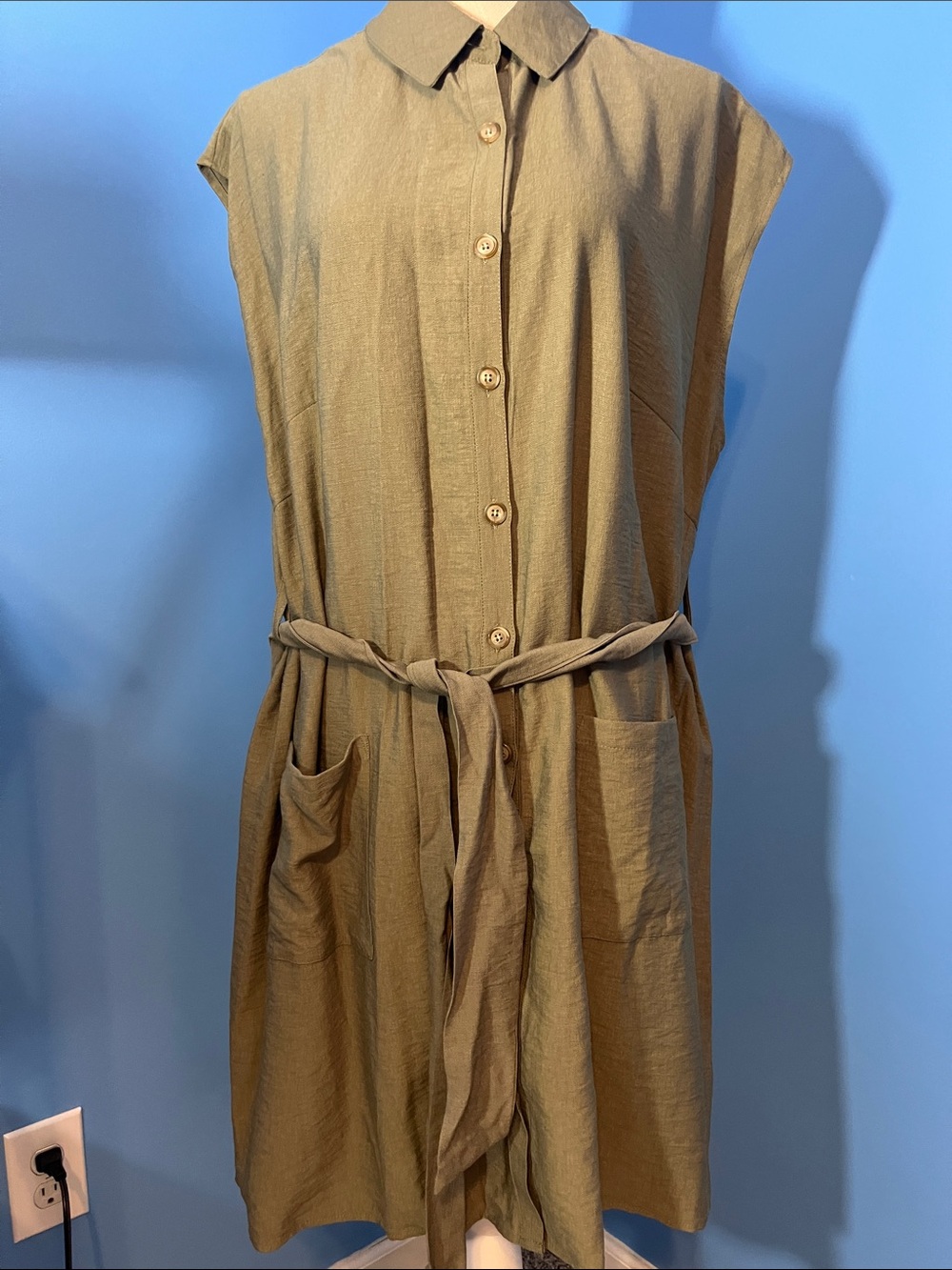 And Now This Sleeveless Button-Front Mini Dress, Size 2X